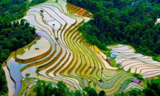 Ngẩn Ngơ Trước Vẻ Đẹp Siêu Thực Của Hà Giang Tháng 5