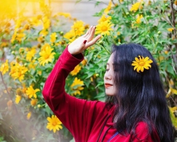 Du Lịch Hà Nội - Vườn Quốc Gia Ba Vì - Làng Văn Hóa Các Dân Tộc Việt Nam 1 Ngày