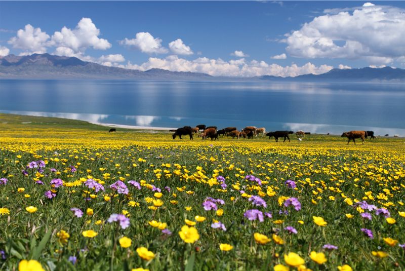 CUNG ĐƯỜNG BẮC TÂN CƯƠNG MÙA HÈ: URUMQI – KANAS – HEMU – YINING 8N7D BAY CHINA SOUTHERN
