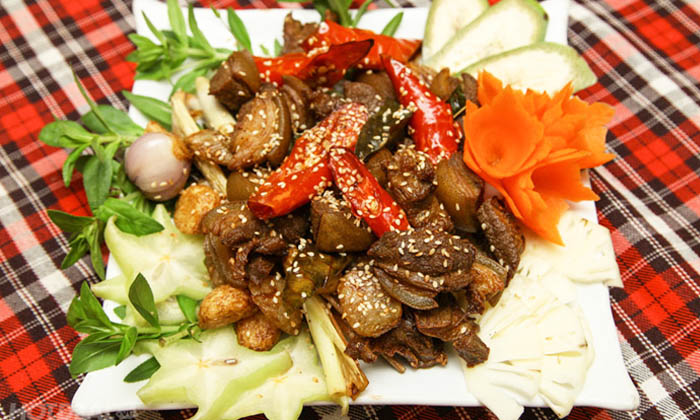Dê Lang Thang Côn Đảo