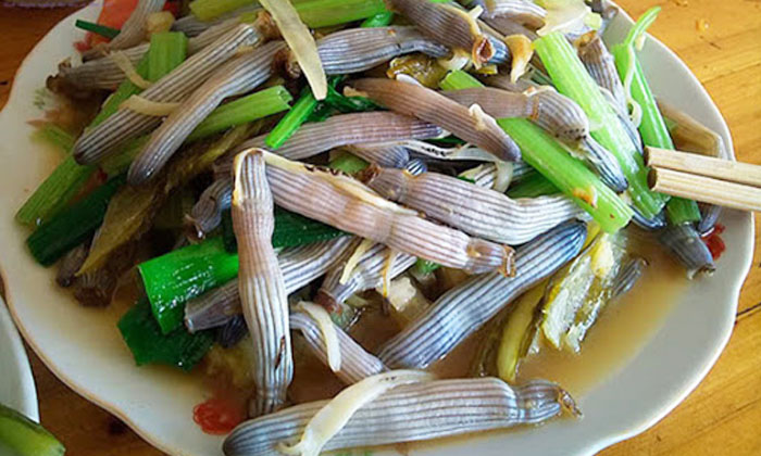 Trùng Biển Xào Côn Đảo