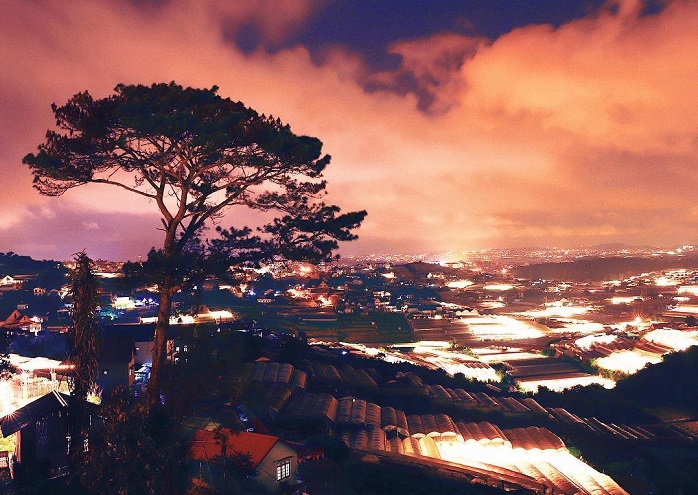 Khung cảnh về đêm từ Panorama Cafe Đà Lạt