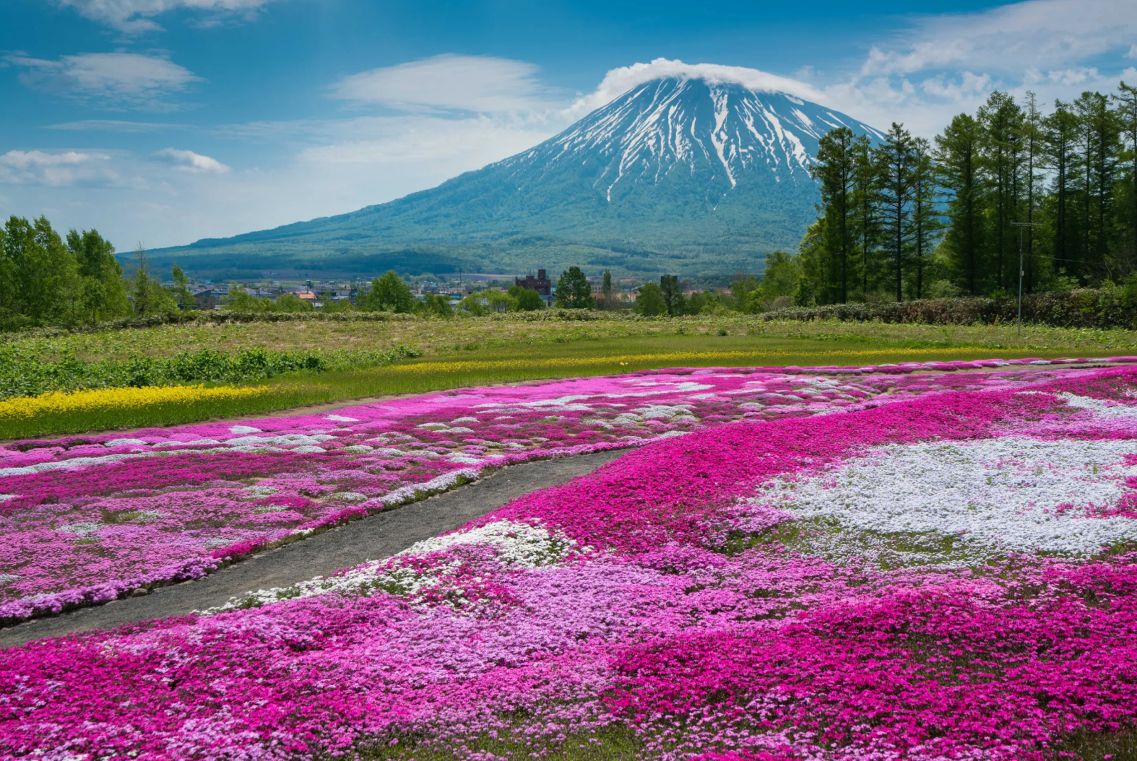 HANOI – TOKYO –  HOKKAIDO – NORIBETSU – SAPPORO – OTARU-6n5đ-bay All Nippon Airways
