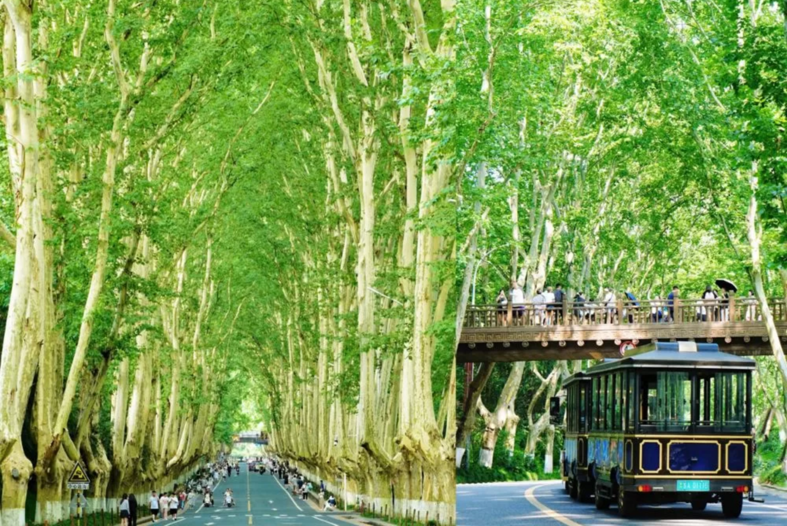 THAM QUAN BẮC KINH - 5N4Đ - BAY CA